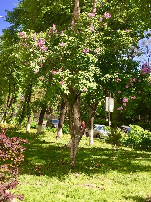 Хостел Westend *
